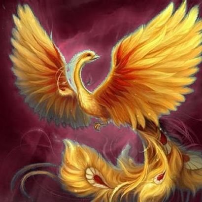 Fénix 💚👑🎾🦇💎🌼👓🏋🏻‍♂️