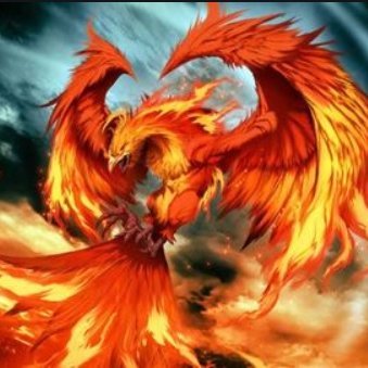 Ave Fenix
