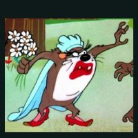 Tazmanian SheDevil 🌂