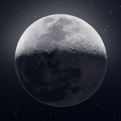 φ,Lisières 🇫🇷✊🐢🔻🌻🐢✊🇫🇷