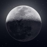 φ,Lisières 🇫🇷✊🐢🔻🌻🐢✊🇫🇷