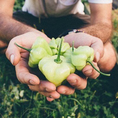 RemineralizetheEarth