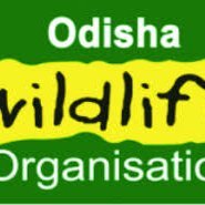 Odisha Wildlife Organisation