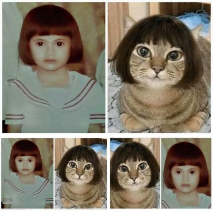 𝑷𝒊𝒏𝒌𝑩𝒍𝒖𝒔𝒉𝒀𝒖𝒚𝒖◕ᴥ◕Meowster