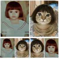 𝑷𝒊𝒏𝒌𝑩𝒍𝒖𝒔𝒉𝒀𝒖𝒚𝒖◕ᴥ◕Meowster