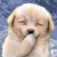 Jurre-Jan Weijer ❌