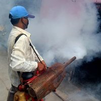 MALARIA MCD (Shah S) DELHI