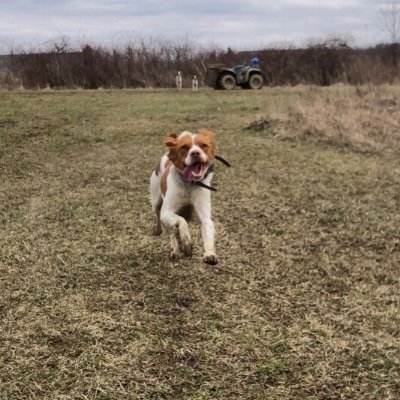 InAvanDowninTheFlats