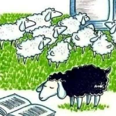 Inéscindible💛🐱🇦🇷