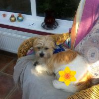 Marie Sheridan ⚠️