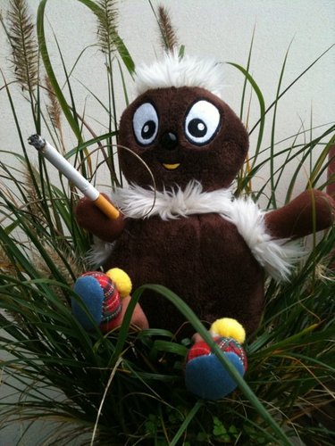 Bewusstseinserweiterer