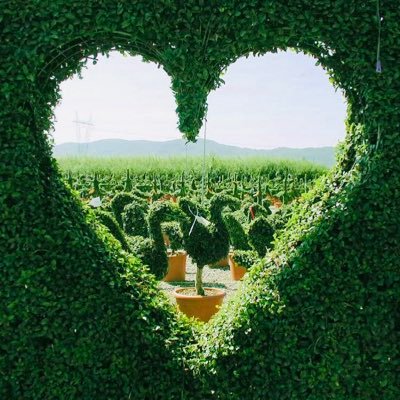 💚ゆうちゃん(ˊᗜˋ*)و⚑💚