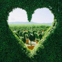 💚ゆうちゃん(ˊᗜˋ*)و⚑💚