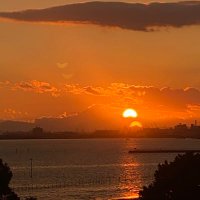 はるめぐパパ_LGM