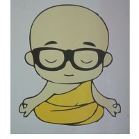 The Enlightened Idiot