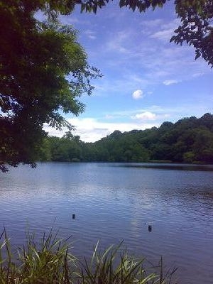 yuki（厨２と犬🐶の母）