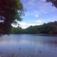 yuki（厨２と犬🐶の母）