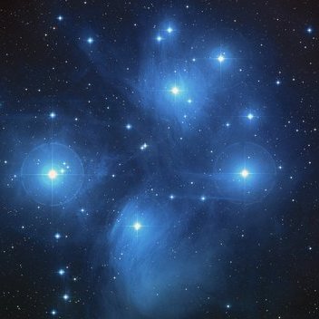 The Author, David T Applegate