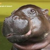 HOSI☆お米県民☆雪国