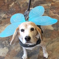 🆃🅰🅱🅱🆈 🆂🅰🆈🆂