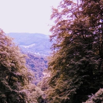 HumbledCylence77🎗️