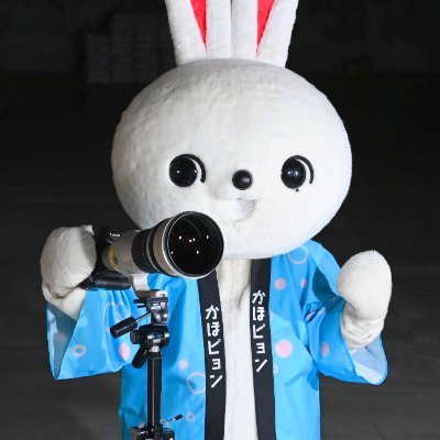 河北新報写真映像部