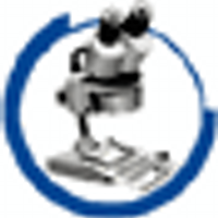 Lab Grafología Forense CEO Raymond Orta