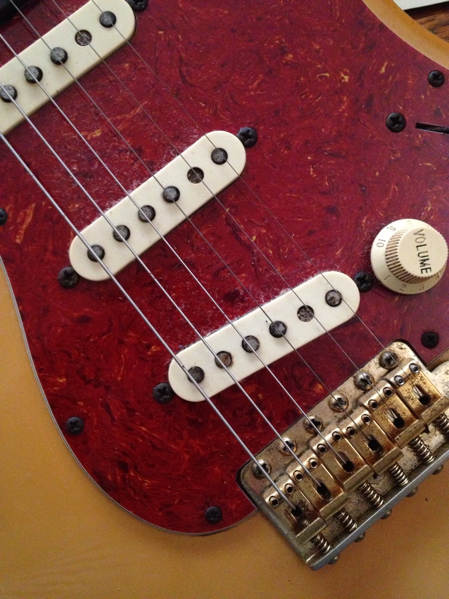 けいたん🦊 @ 休止中/not living in real time.