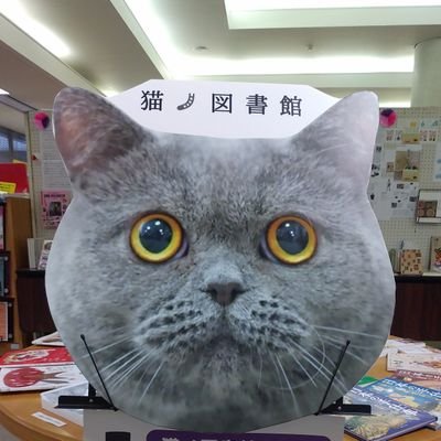 猫ノ図書館