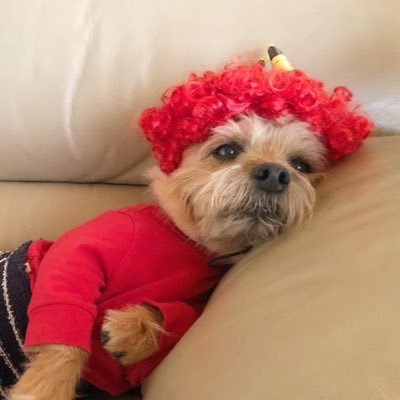 すーさん🍒🏠