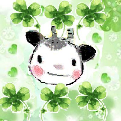 母ポン　💙💛