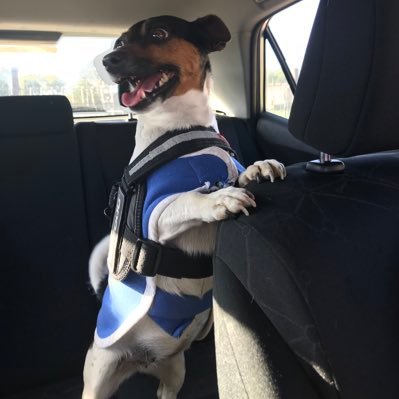 normboy562 Union Proud Labor until death 👊🙋‍♂️