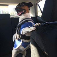 normboy562 Union Proud Labor until death 👊🙋‍♂️