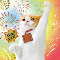 風色のサイダー【Fellows】