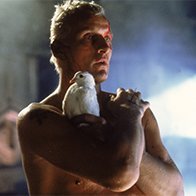 Laki21 🐕‍🦺🐱🐾 Stand with your animals!!!