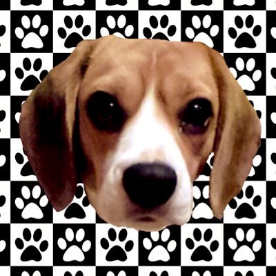 はっしっし〜@ケメコ