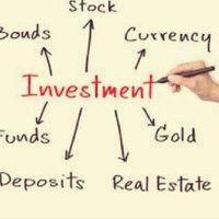 FINANCIAL FREEDOM/MoneySense