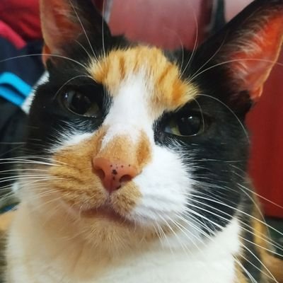 BOCA ME CURO DEL CANCER, AHORA SOLO TENGO SIDA