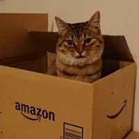 あーしゃん ☁(さん付け不要)