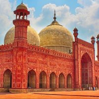 zedee 🎗️🇵🇸🏴󠁧󠁢󠁳󠁣󠁴󠁿🇵🇰