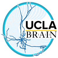 Brain Research & Artificial Intelligence Nexus
