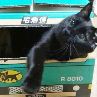 黒猫エルのネットdeせり市場