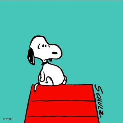 DD🌵❤️⚖🧡🤙🏼💜🪭💚🩰🧙🏼🤎