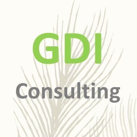 GDI Consulting