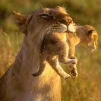 Hi, I'm KellyJo 🙋🏽‍♀️🇺🇸