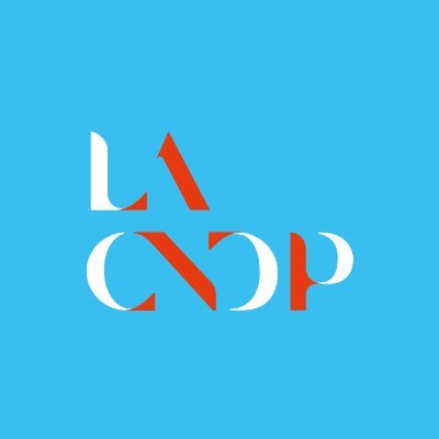 Commission nationale du débat public (CNDP)