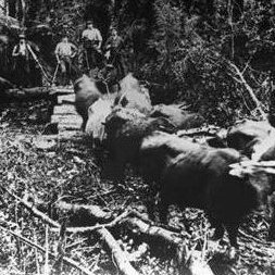 @CentralAndWesternGLAMProject@mastodon.social