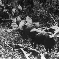 @CentralAndWesternGLAMProject@mastodon.social