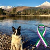 Lenny Hartley Arranach