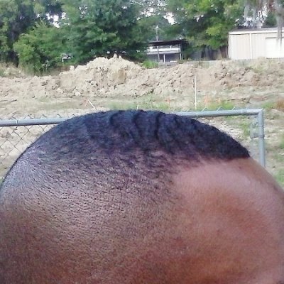 Da Last King of Scotlandville